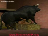 Big bull finishes a massive load in its weak sufferer
